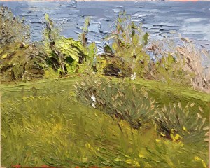 May 16, 2013 Clayhead Trail 3-6pm