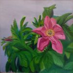 img_20230615_17533892416962841166297666562634180667670415333